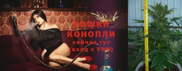 гидра Баксан