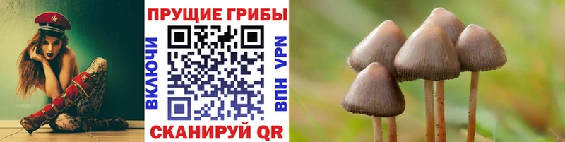 МЕГА tor  Пересвет  Галлюциногенные грибы Psilocybe  закладка 